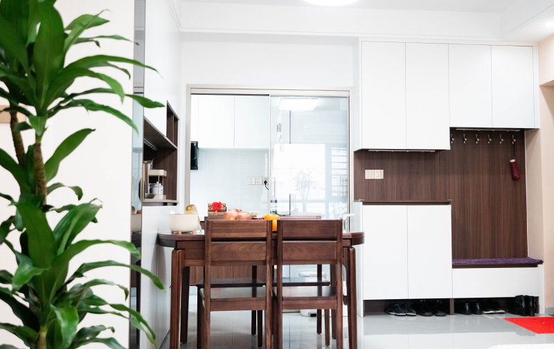 装修后绿植怎么选？这几种不仅净化空气还提升格调  